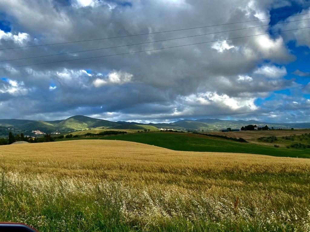 Podere Il Mulino Pieve di Santa Luce Екстер'єр фото