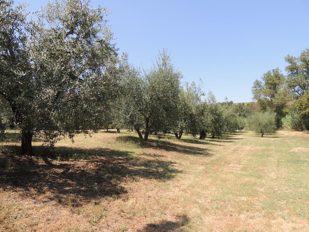 Podere Il Mulino Pieve di Santa Luce Екстер'єр фото