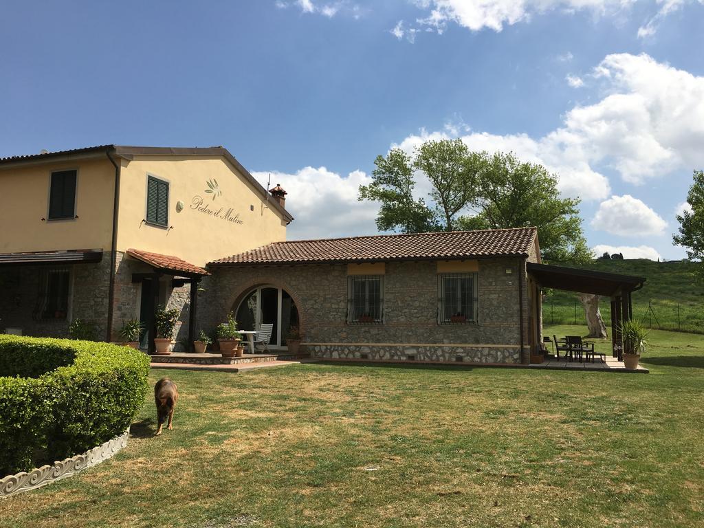 Podere Il Mulino Pieve di Santa Luce Екстер'єр фото